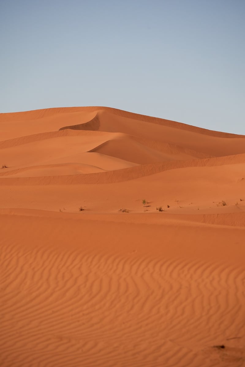 Desert Oasis
