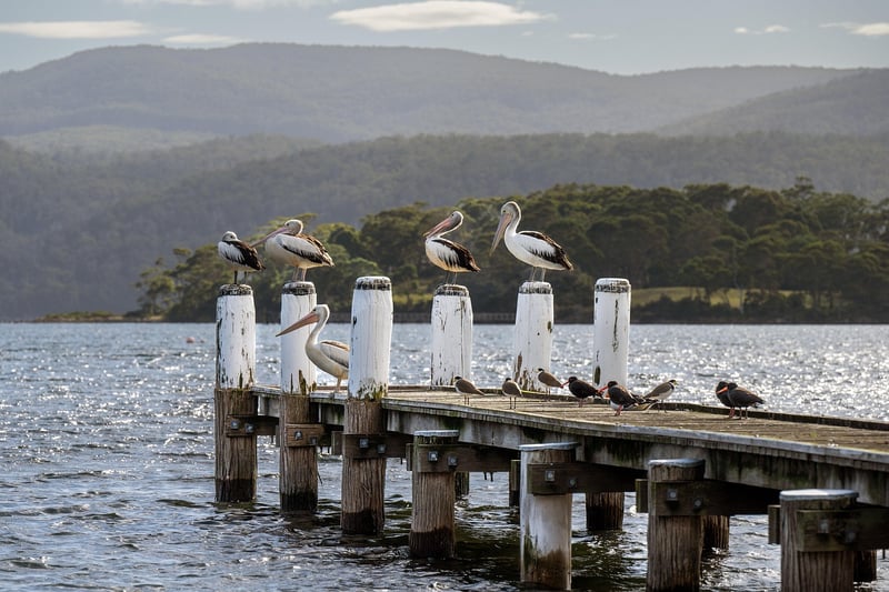 Tasmania, Australia